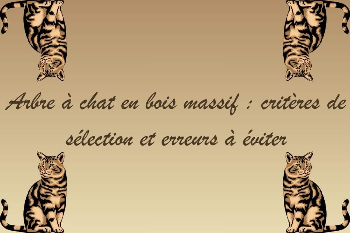 arbre chat bois massif