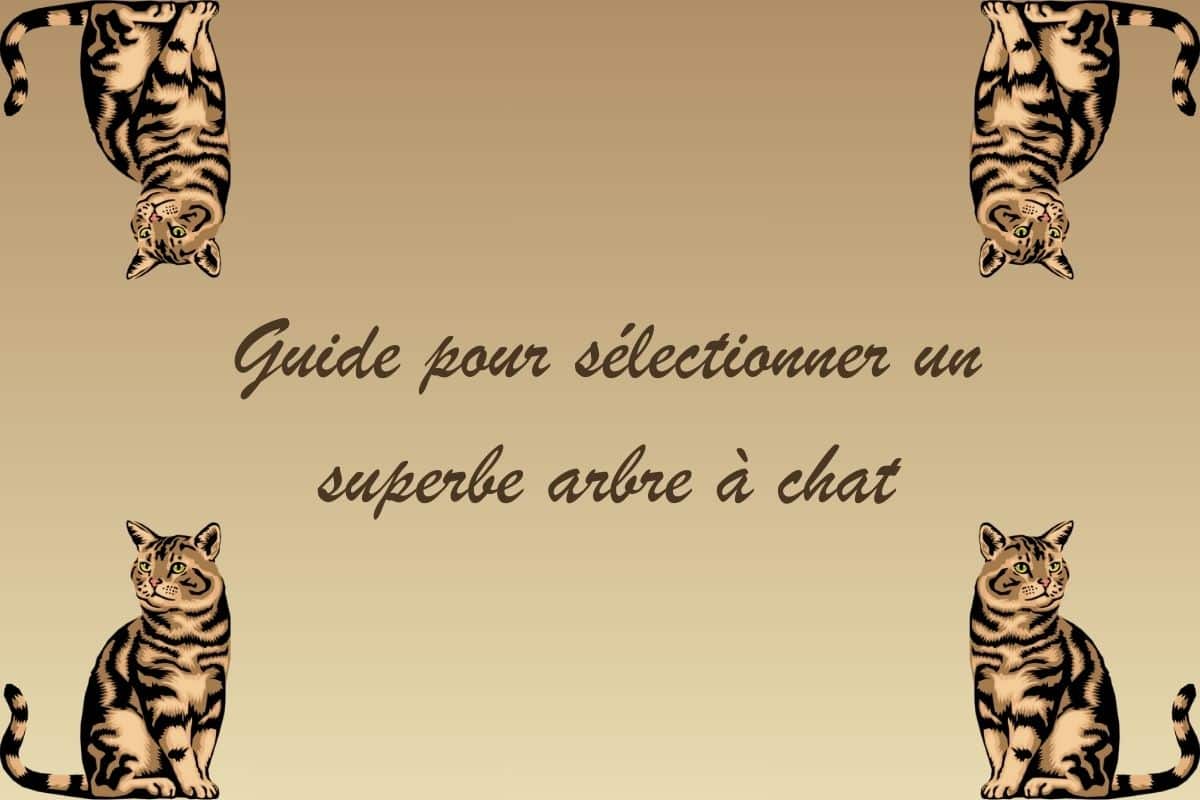 guide arbre a chat